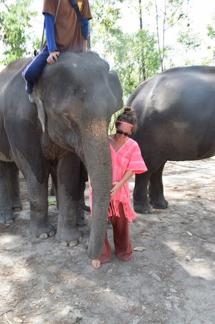 Our Day At Patara Elephant Farm In Chiang Mai Thailand - Patara Elephant Farm Thailand - Humane Elephant Camp Thailand - Chiang Mai Thailand Elephants - Elephant Keeper For A Day - Elephant Day Care Thailand - Patara Elephant Farm Review - Thailand Itinerary - Chiang Mai Thailand