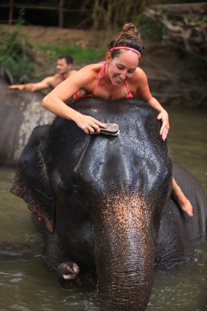 Our Day At Patara Elephant Farm In Chiang Mai Thailand - Patara Elephant Farm Thailand - Humane Elephant Camp Thailand - Chiang Mai Thailand Elephants - Elephant Keeper For A Day - Elephant Day Care Thailand - Patara Elephant Farm Review - Thailand Itinerary - Chiang Mai Thailand