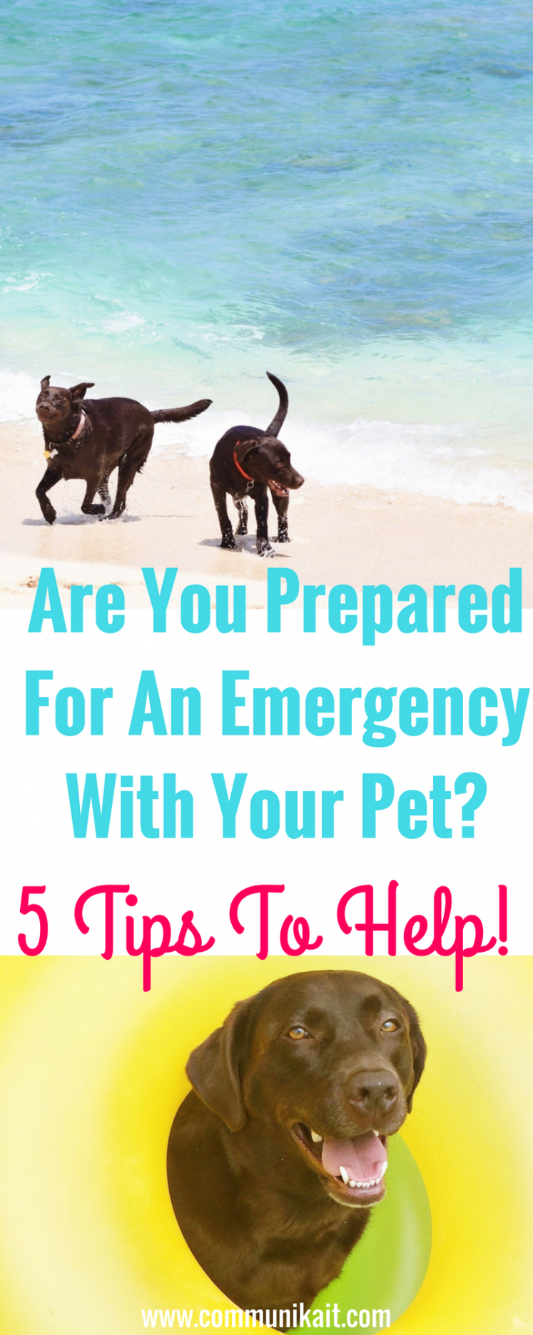 Are You Prepared For An Emergency With Your Pet?