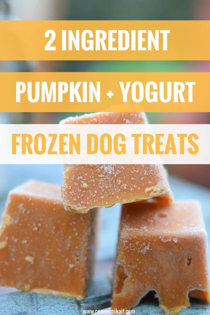 2-Ingredient Frozen Pumpkin + Yogurt Dog Treats - Easy Dog Treats Recipe - Dog Treat Recipe - Healthy Dog Treat Recipe - Pet Tips - Communikait by Kait Hanson