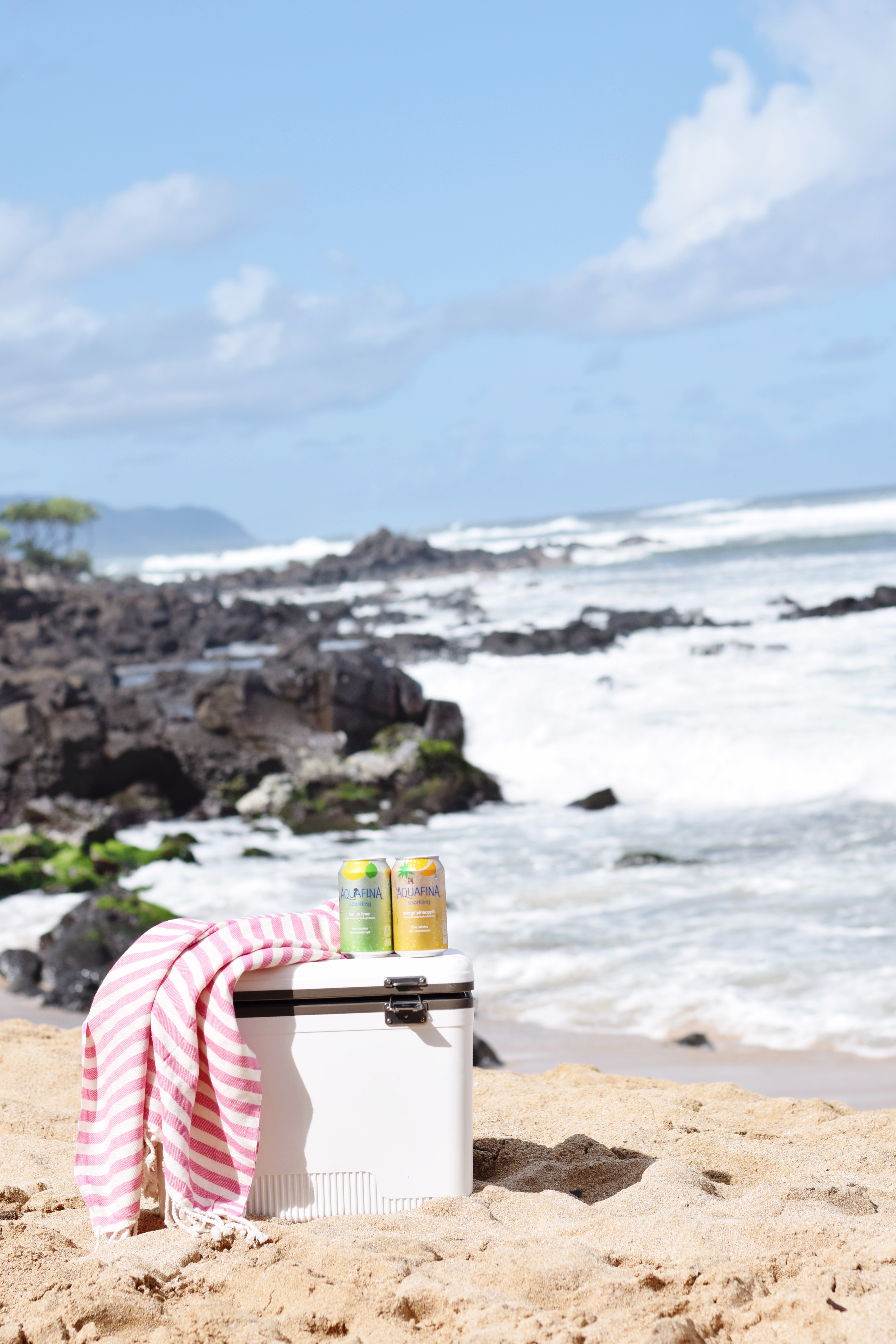 What's In My Beach Cooler - Hawaii Life - CommuniKait