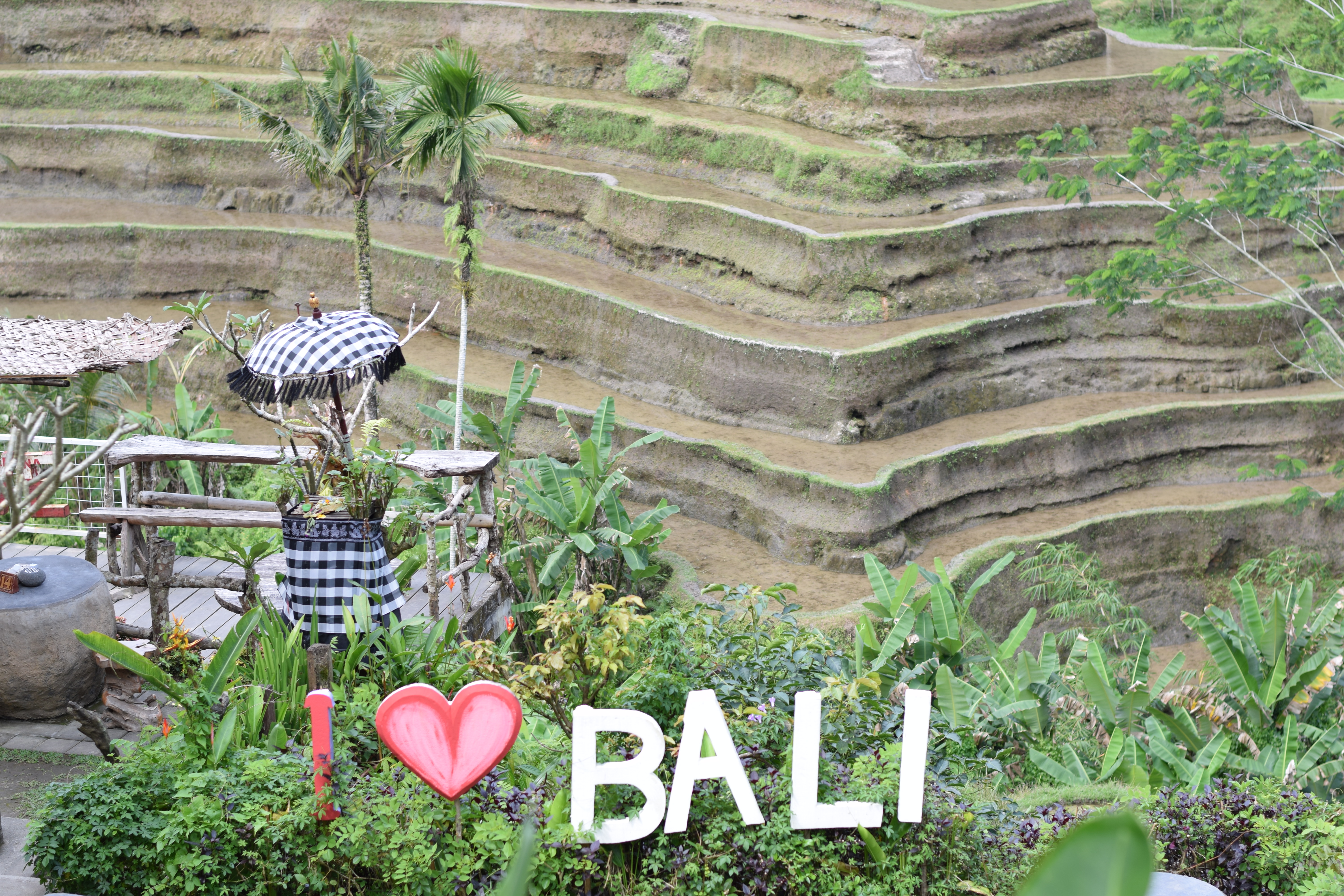 Our Trip To Bali At A Glance