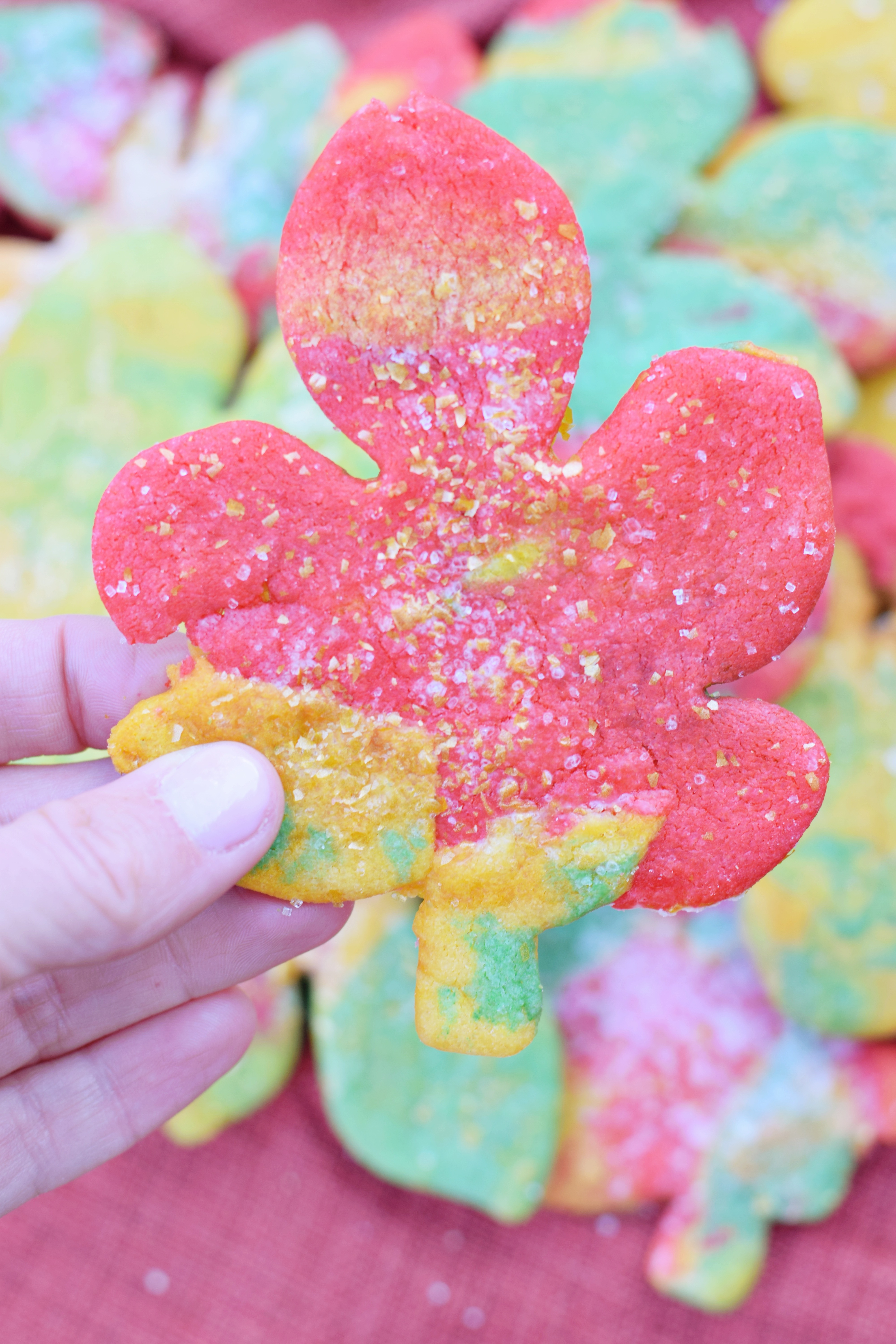 Fun Tie-Dye Fall Leaf Cookies that are perfect for any festive fall occasion! - Fall Cookie Recipe - Maple Leaf Cookies - Easy Fall Dessert Recipe - Easy Cookies For Fall - Communikait by Kait Hanson