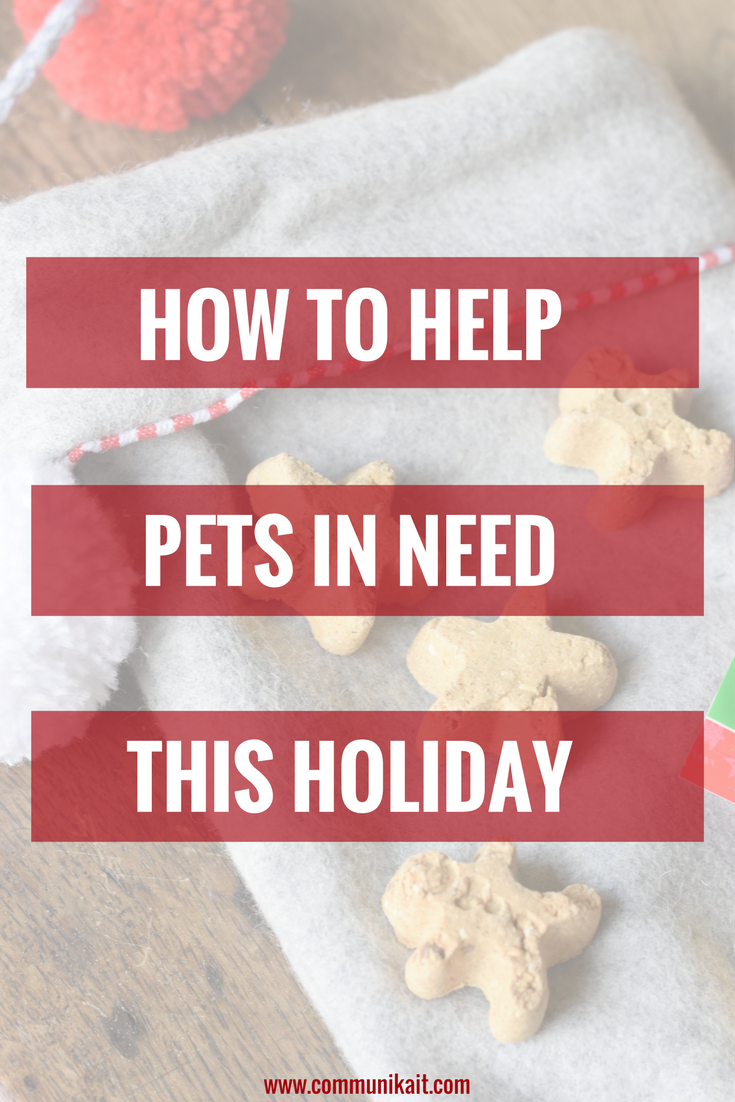 How To Help Pets In Need This Holiday - Christmas Pet - Christmas Dog Ideas - Holiday Pet Ideas - Communikait by Kait Hanson