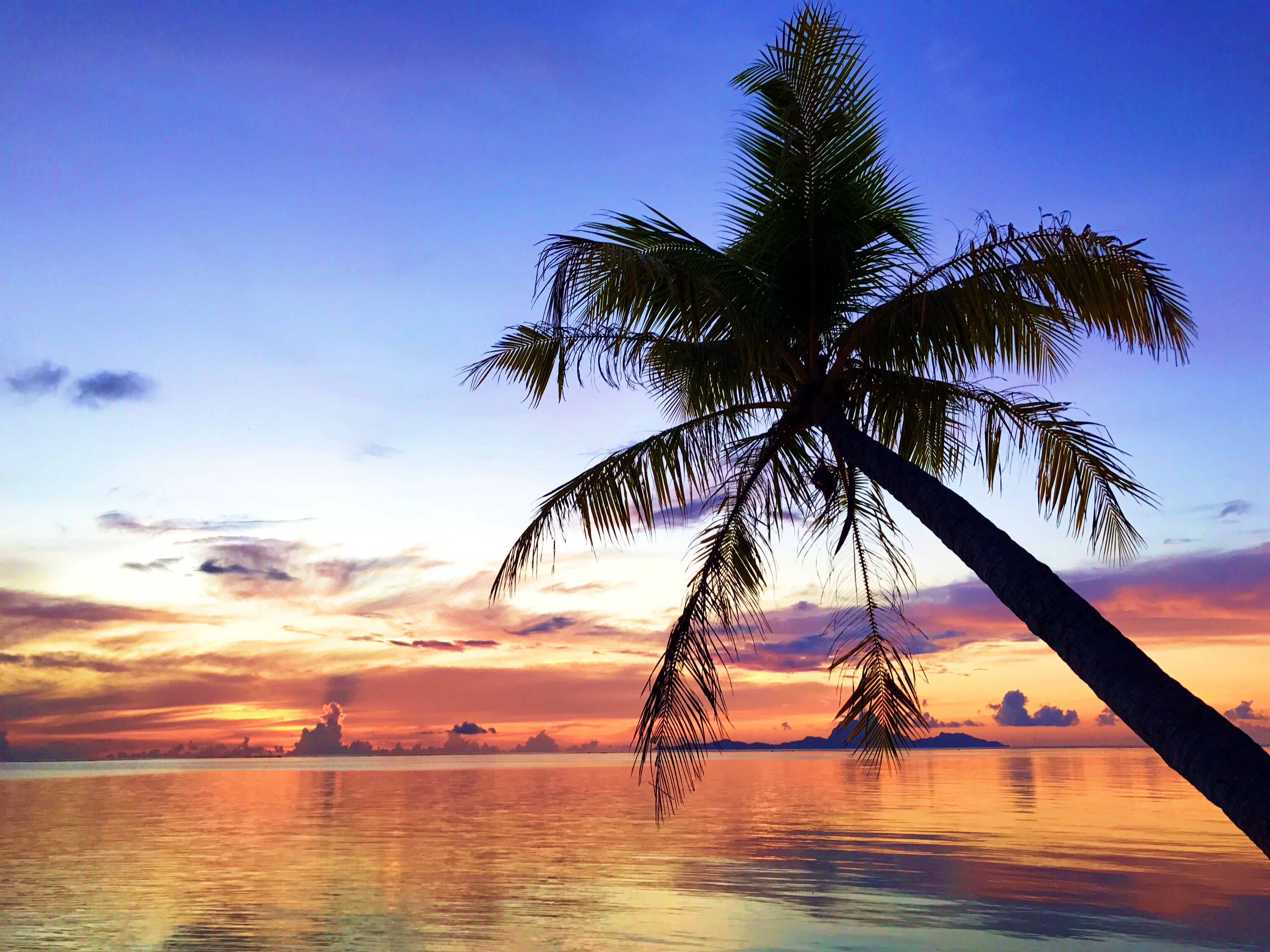3 Days In Taha'a, Tahiti Trip 2018 - Tahiti Overwater Bungalow - Tahiti Itinerary - Best Places To Stay Tahiti - Tahaa - French Polynesia Vacation - Communikait by Kait Hanson