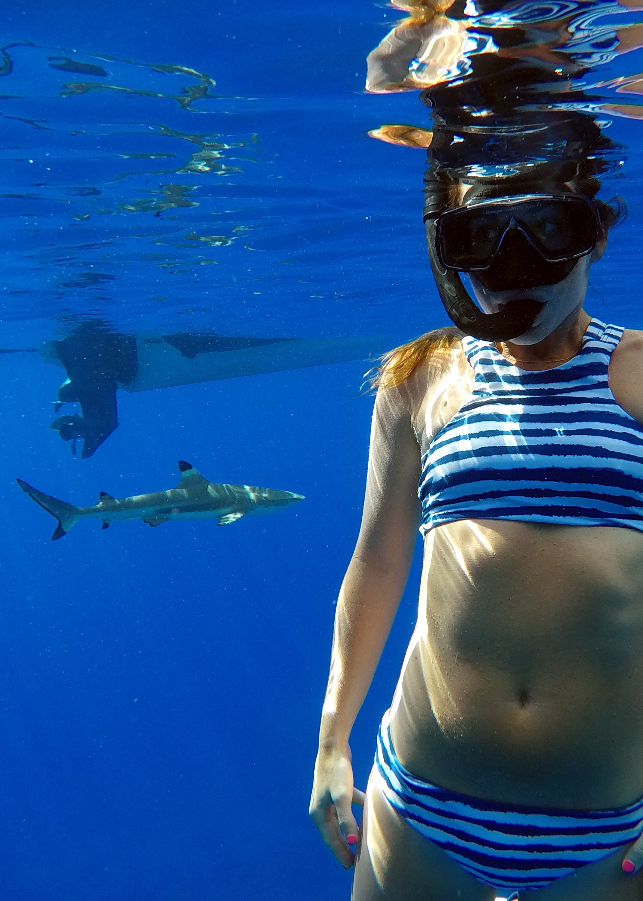 My Experience Swimming With Whales + Sharks - Freediving - Sharks in Tahiti - Diving In Tahiti - Diving With Sharks - Tahiti Trip - Bora Bora Honeymoon - Communikait by Kait Hanson
