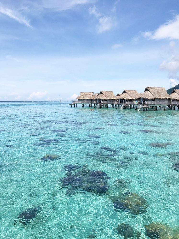 Our 2018 Tahiti Trip - Tahaa - Tahiti - Moorea - French Polynesia - Tropical Vacation - Tahiti Itinerary - Overwater Bungalow - Tahiti Trip Planning - Communikait by Kait Hanson