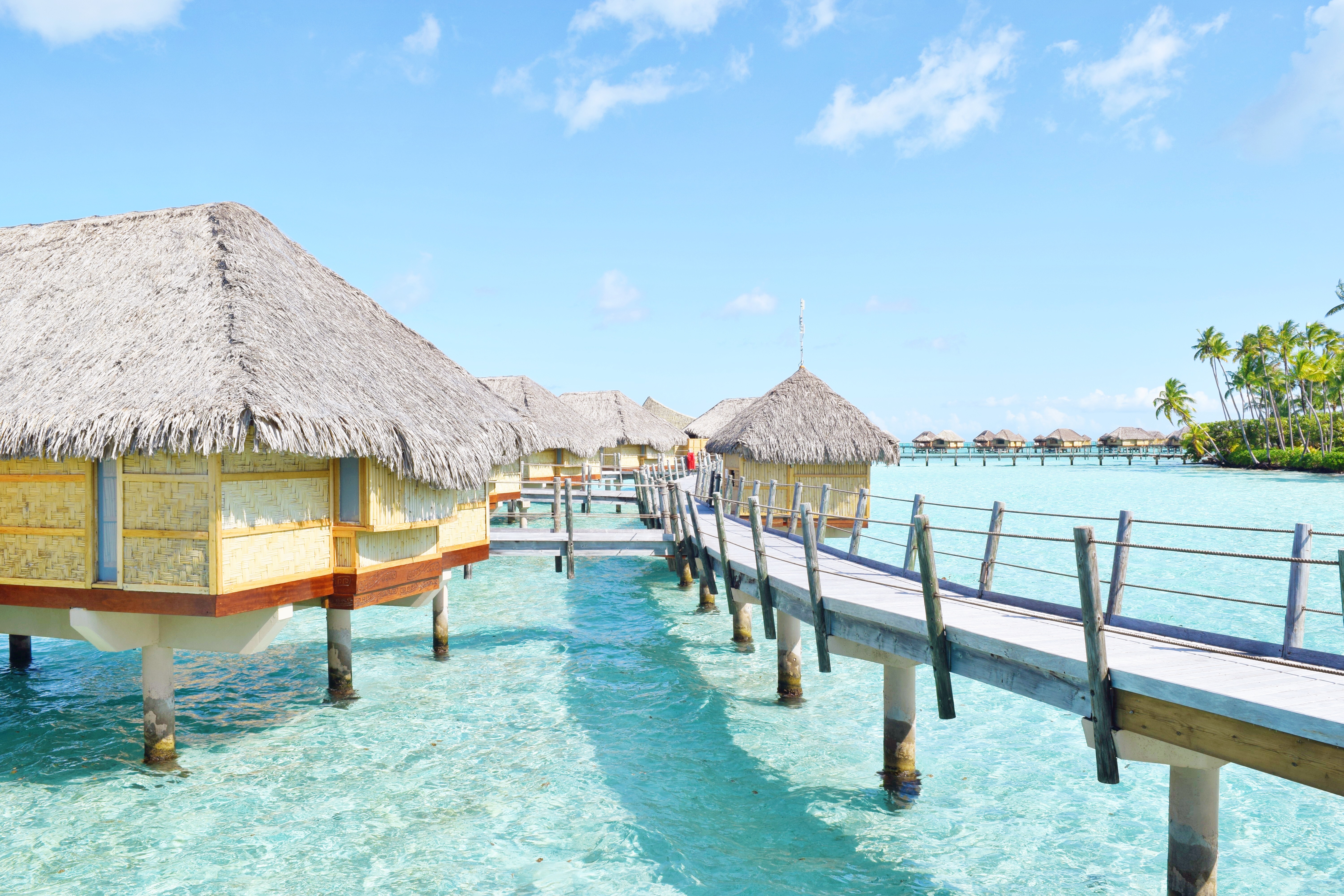 FAQ: Planning A Trip To French Polynesia - Tahiti - Bora Bora - Everything you need to know before you book a trip to Tahiti - Tahiti On A Budget - Tahiti Honeymoon - Things To Do In French Polynesia - Moorea - Overwater Bungalow - How Much Does Bora Bora Cost - Travel to Tahiti - Communikait by Kait Hanson