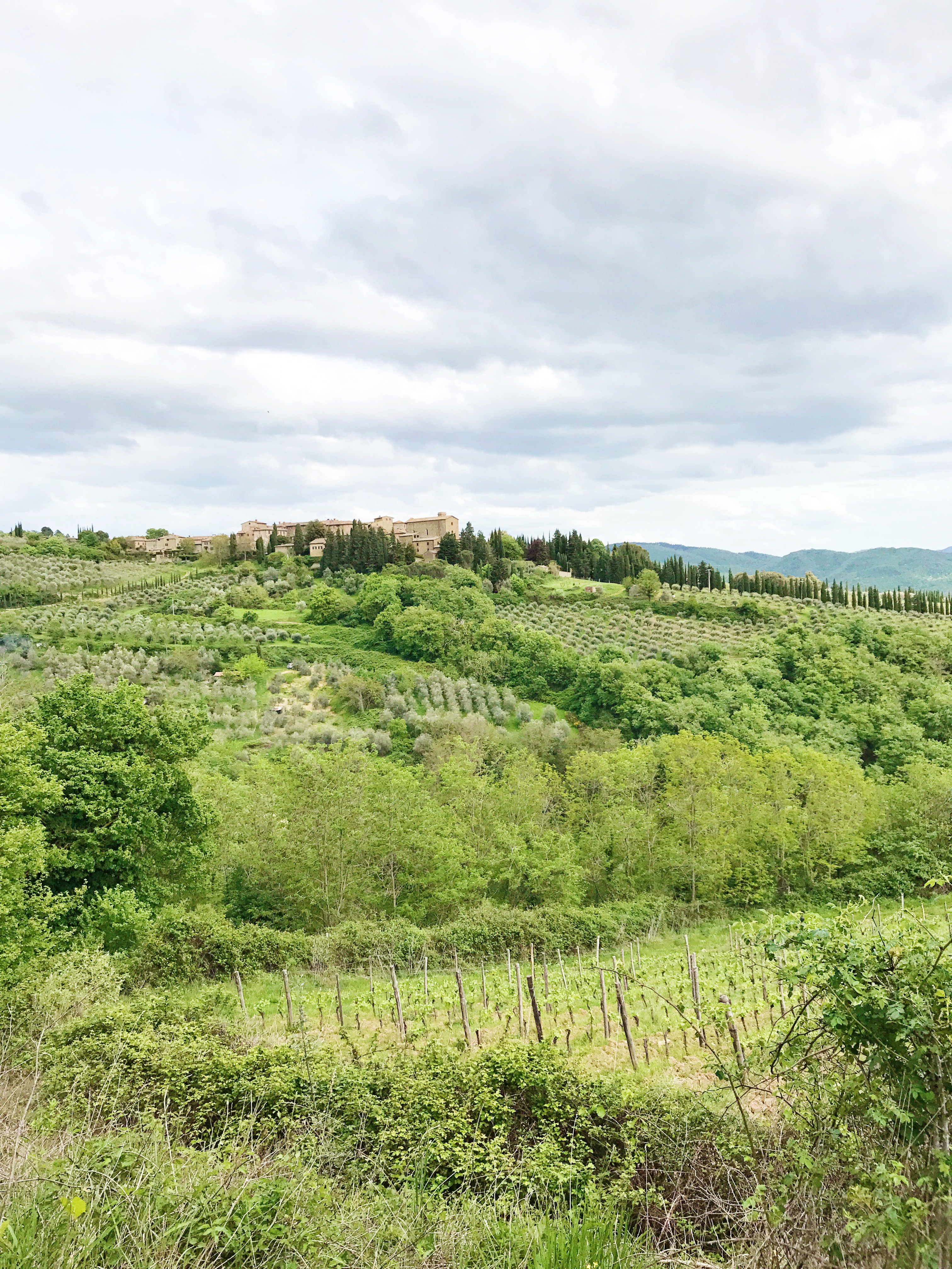 3 Days In Tuscany - Tuscany Itinerary - Where to go in Tuscany Italy - Driving the Chianti Region of Italy - Tuscany Italy Road Trip - Italy Itinerary - What to do in Italy - Communikait by Kait Hanson