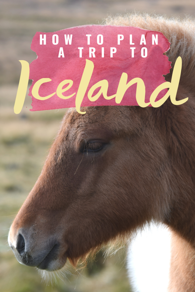 Frequently Asked Questions About Our Iceland Trip