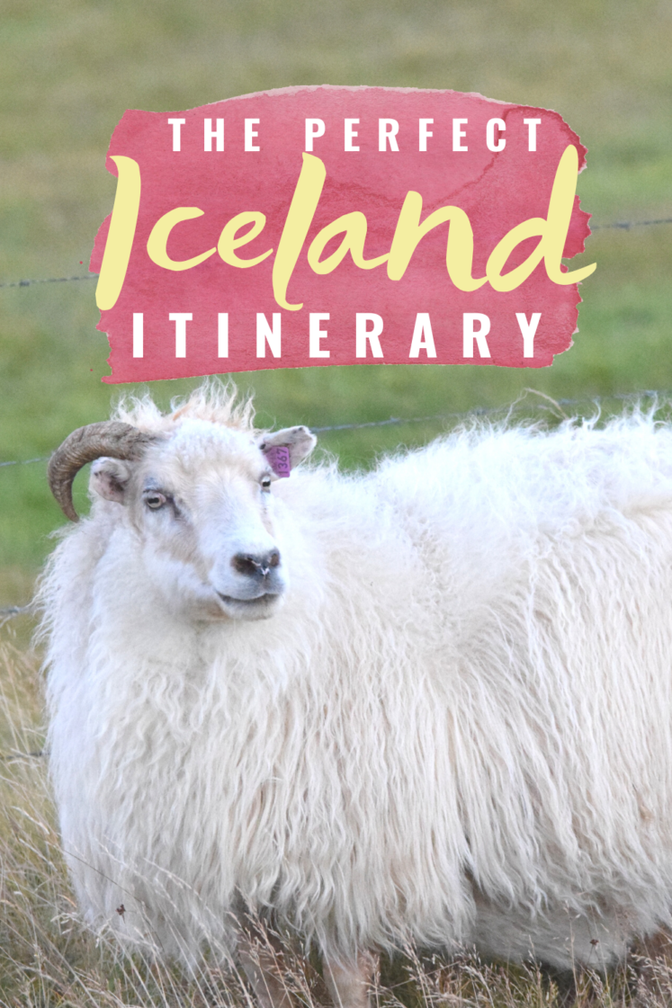 6-Day Iceland Itinerary + Overview Of Our Iceland Vacation