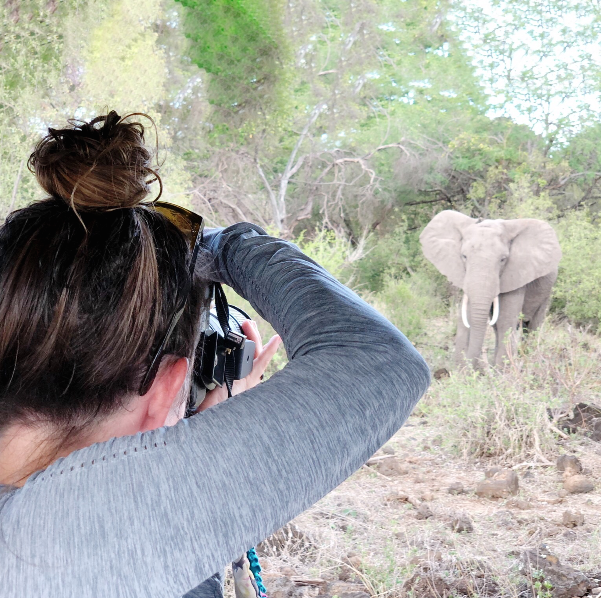 Our Stay At Finch Hattons Luxury Camp In Tsavo National Park, Kenya - Kenya Safari - Kenya Safari Tours - Safari Kenya - Safari Trips In Kenya - Trip To Kenya - Kenyan Safari - How To Plan A Safari - Kenya Safari Guide - Kenya Wildlife - Kenya Trip - Travel To Kenya - Guide To Kenya