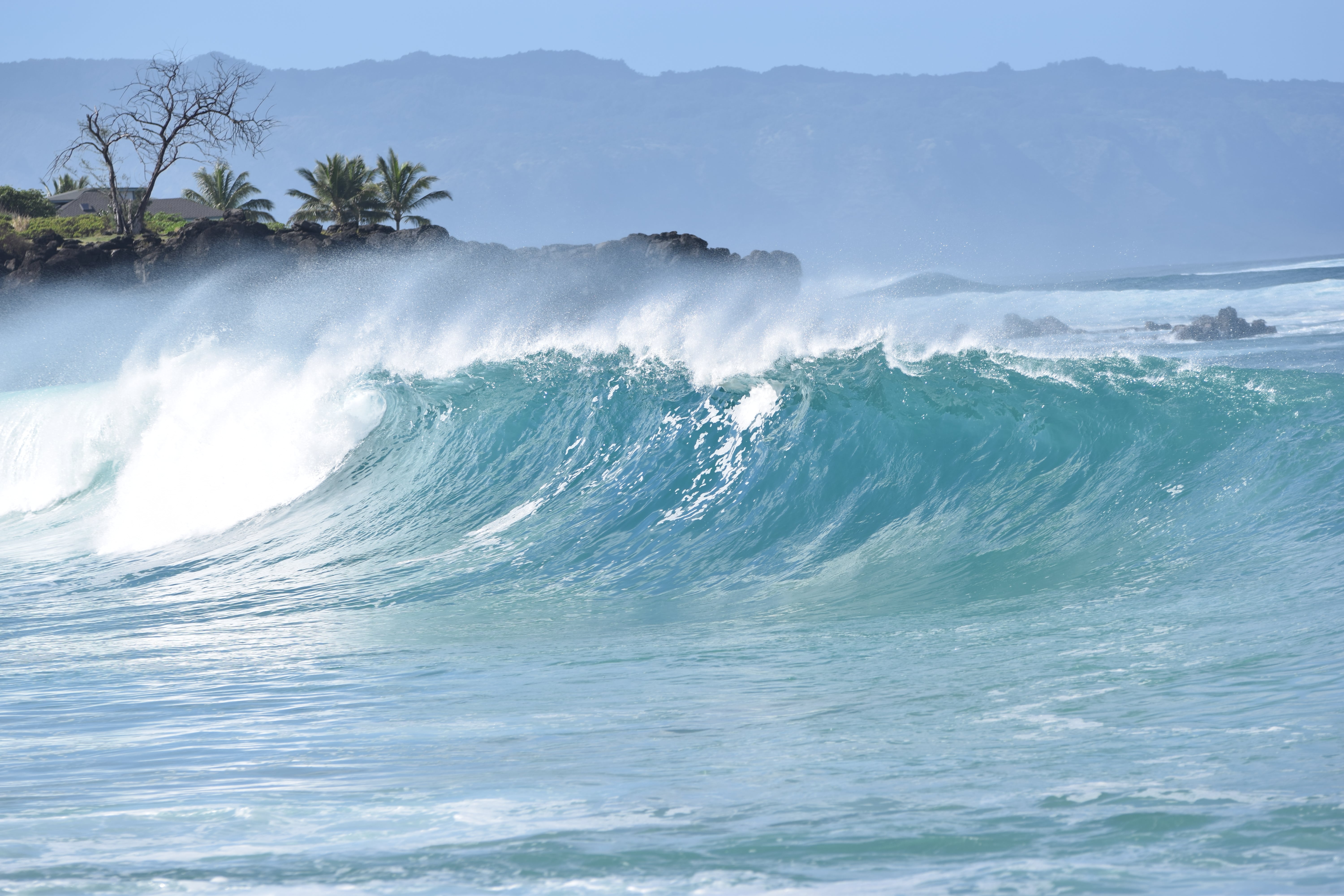 North Shore Hawaii Waves At Waimea Bay - North Shore Waves - Haleiwa Hawaii - Waimea Bay Waves - Waves At North Shore - Winter Waves Hawaii - Oahu Surf Waves - North Shore Oahu Waves - North Shore Hawaii Waves - North Shore Surf Report - North Shore Surf - Oahu North Shore Wave Height - North Shore Hawaii Surfing - Surfing North Shore Oahu #hawaii #oahu #surf 
