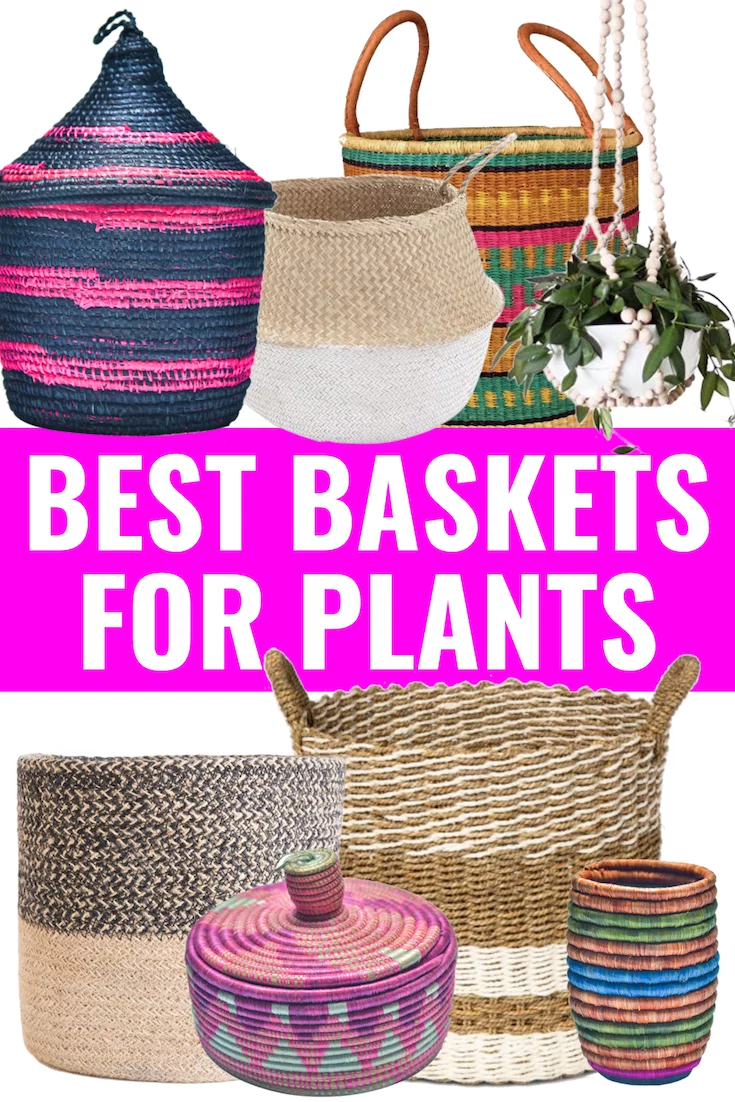 BEST PLANT BASKETS - Sharing the best types of baskets for your plants and design styles I love! - Plant Baskets - Baskets For Plants - Rattan Baskets - Sisal Baskets - Colorful Baskets - Woven Baskets - Natural Baskets - Seagrass Baskets - Hanging Baskets - Macrame Baskets - Belly Baskets #homedecor #baskets
