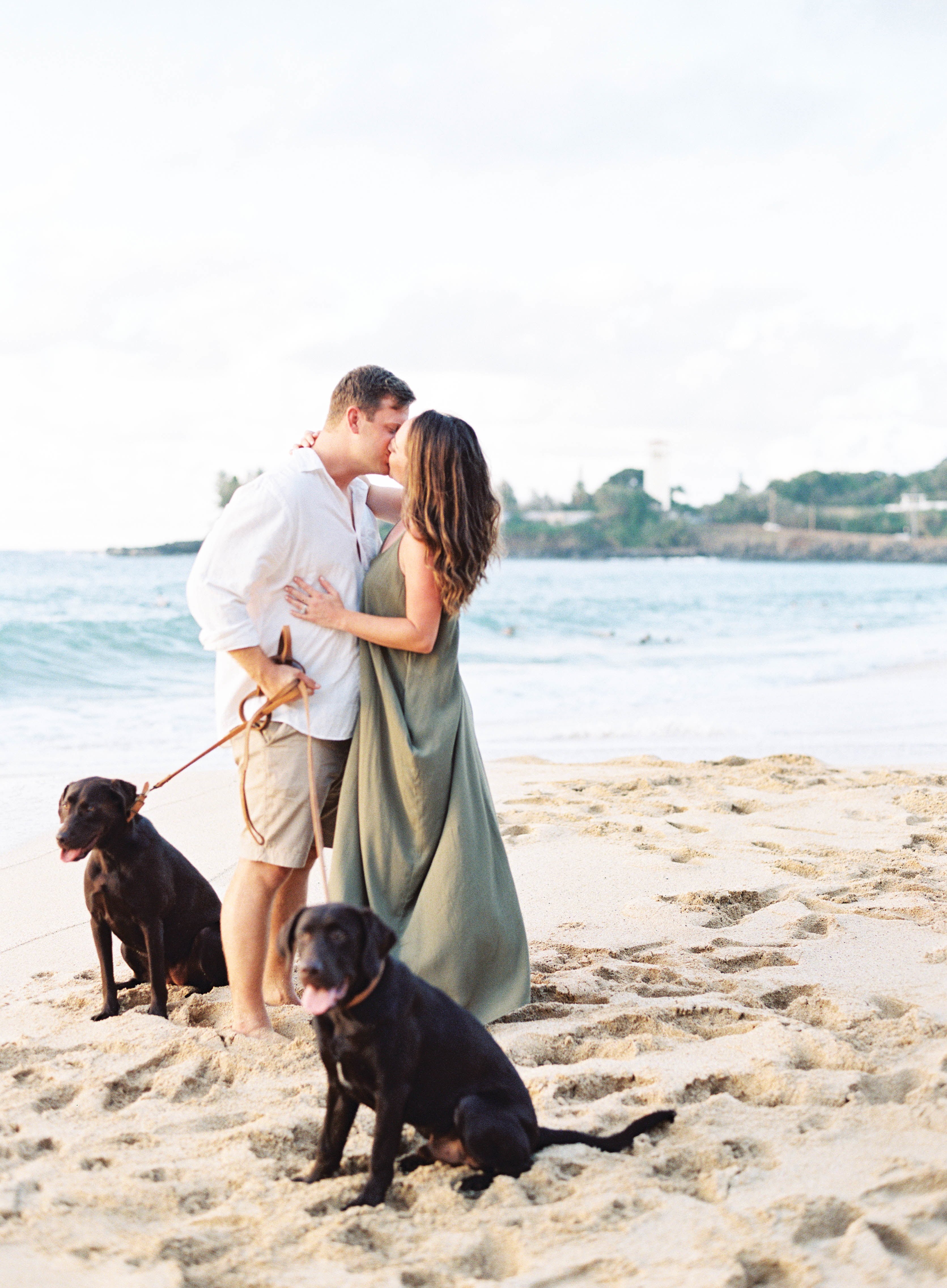 Dog Friendly Guide To Honolulu - Dog Friendly Guide Oahu - Dog Friendly places in Hawaii