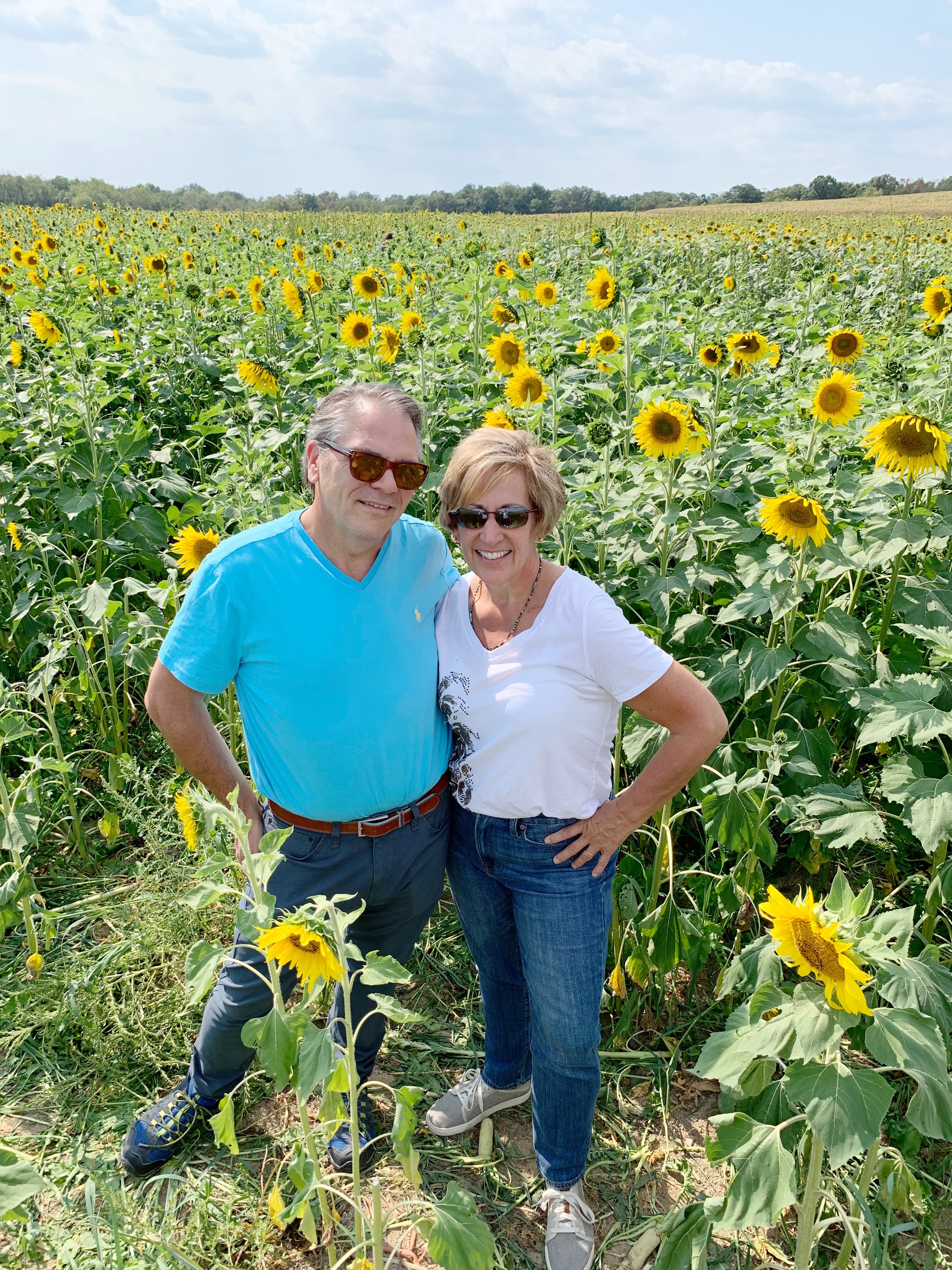 Couple in a sunflower field