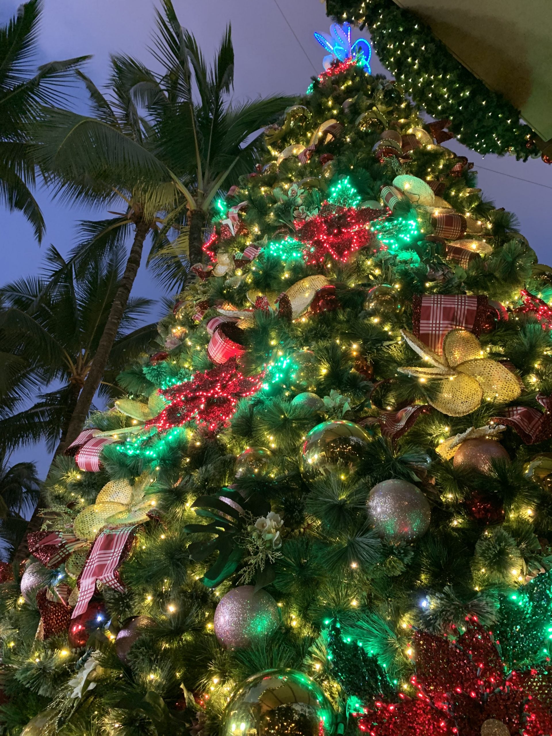 Holiday Events At Royal Hawaiian Center - Get in the holiday spirit with festive events for the whole family at Honolulu's Royal Hawaiian Center! | Royal Hawaiian Shopping Center - Christmas In Honolulu - Christmas Events Hawaii - Oahu Christmas Events #oahu #hawaii #royalhawaiiancenter