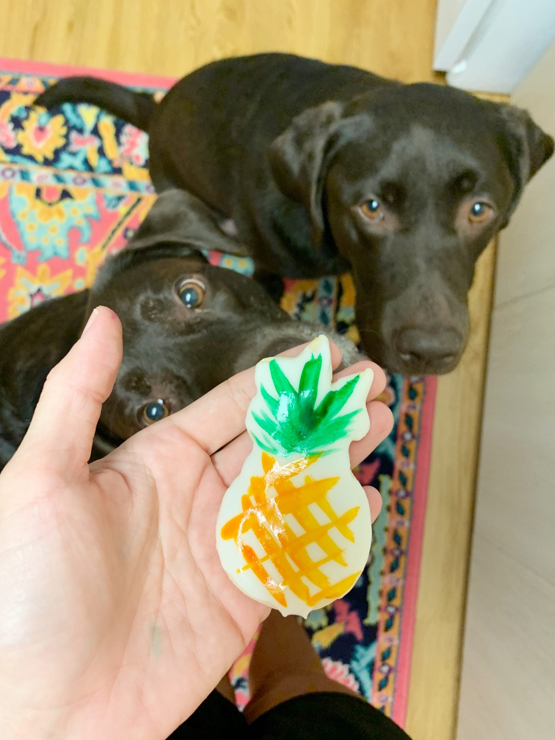 Painted Pineapple Cookies