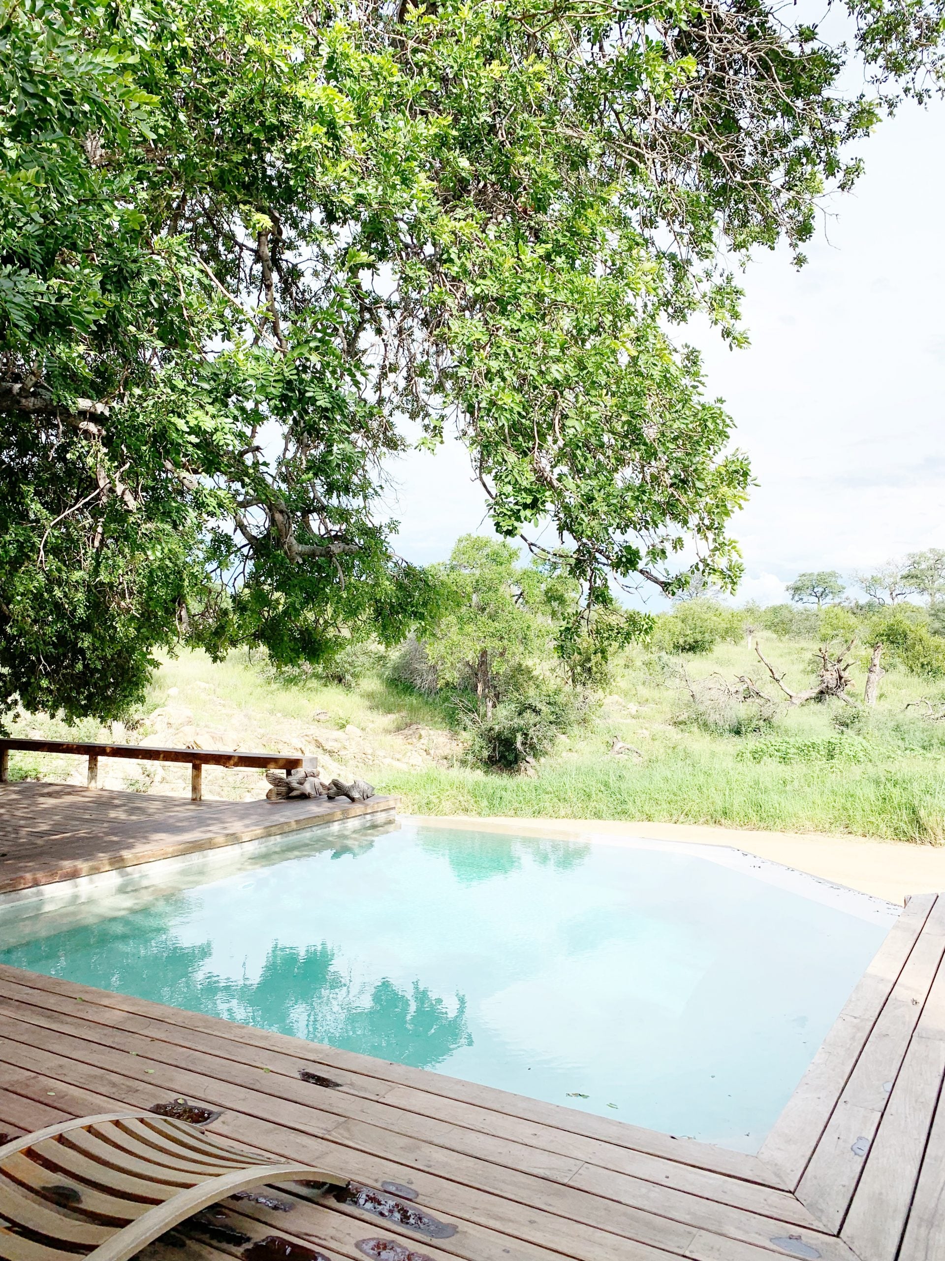 Safari lodge pool