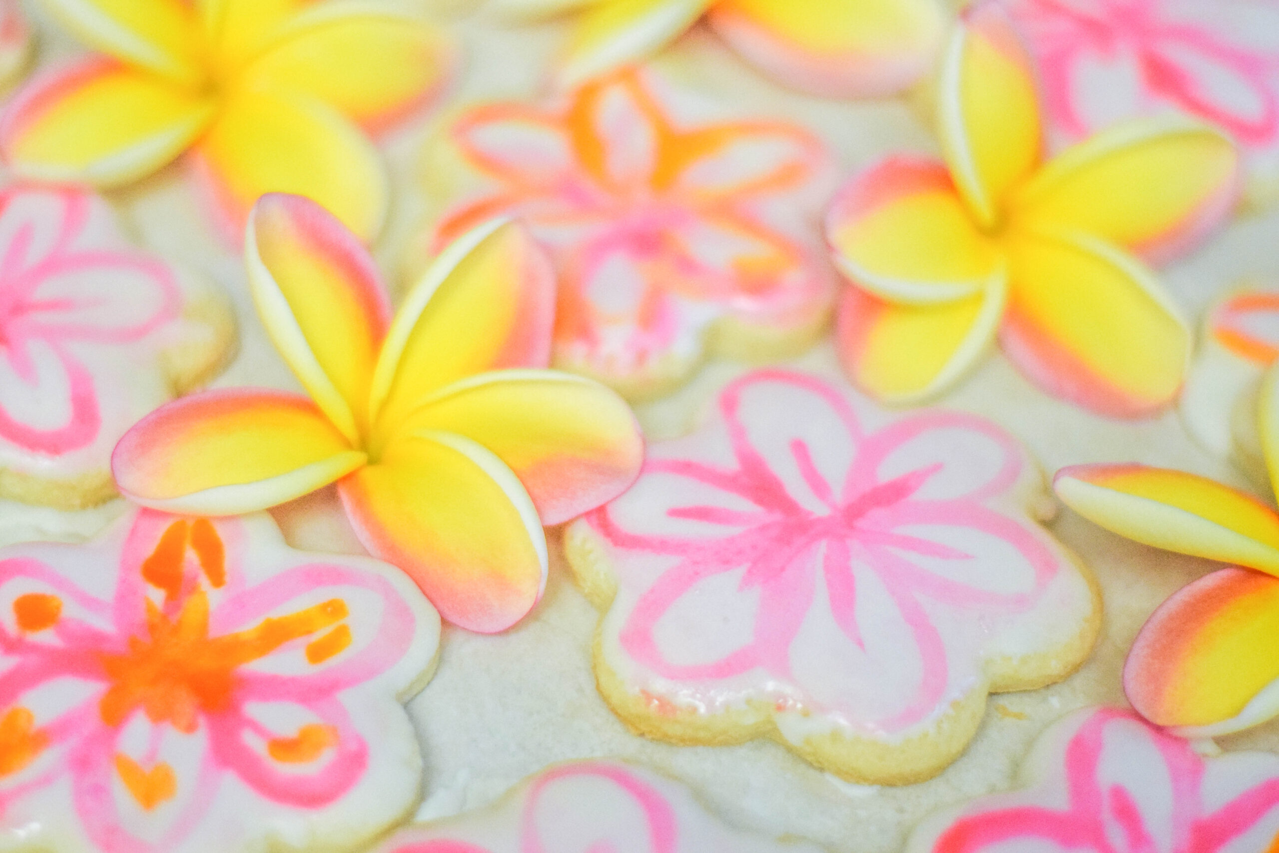 Pink and Yellow Plumeria Painted Cookies