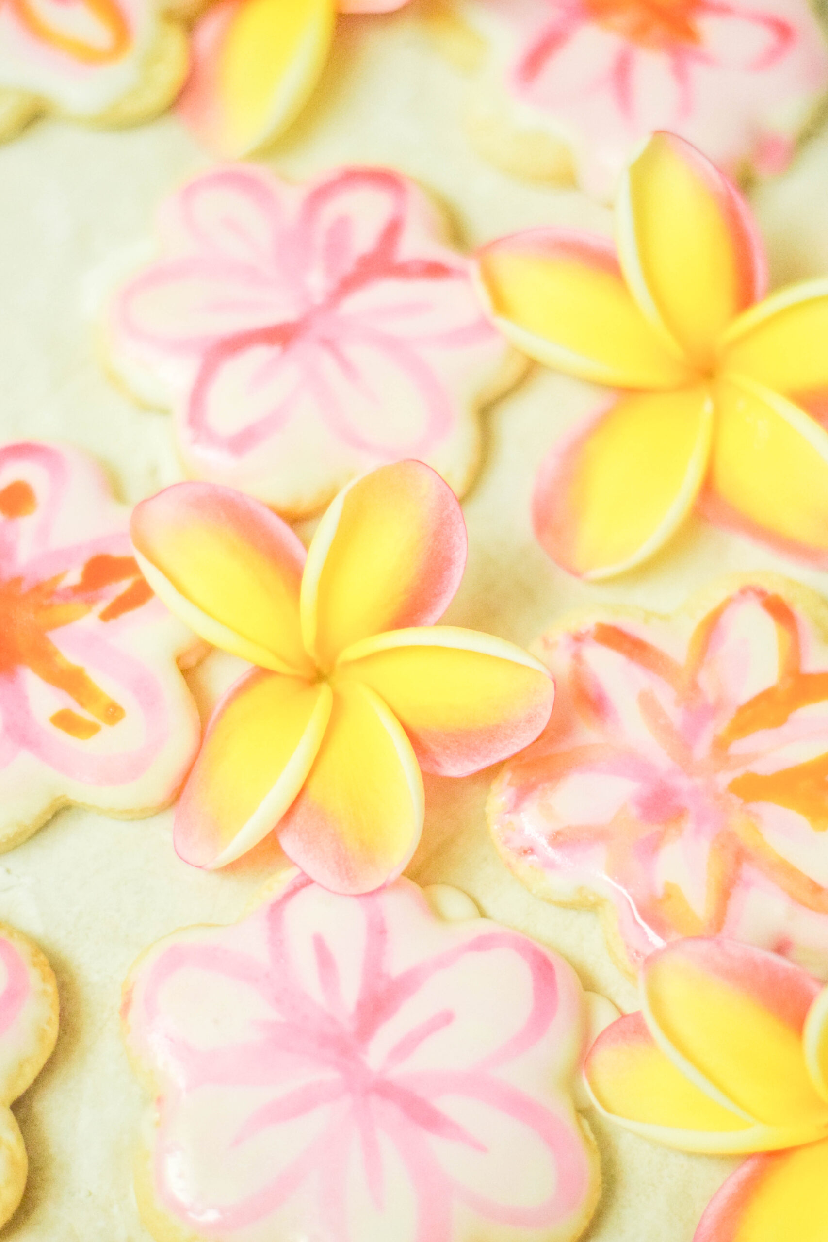 Pink and Yellow Plumeria Painted Cookies