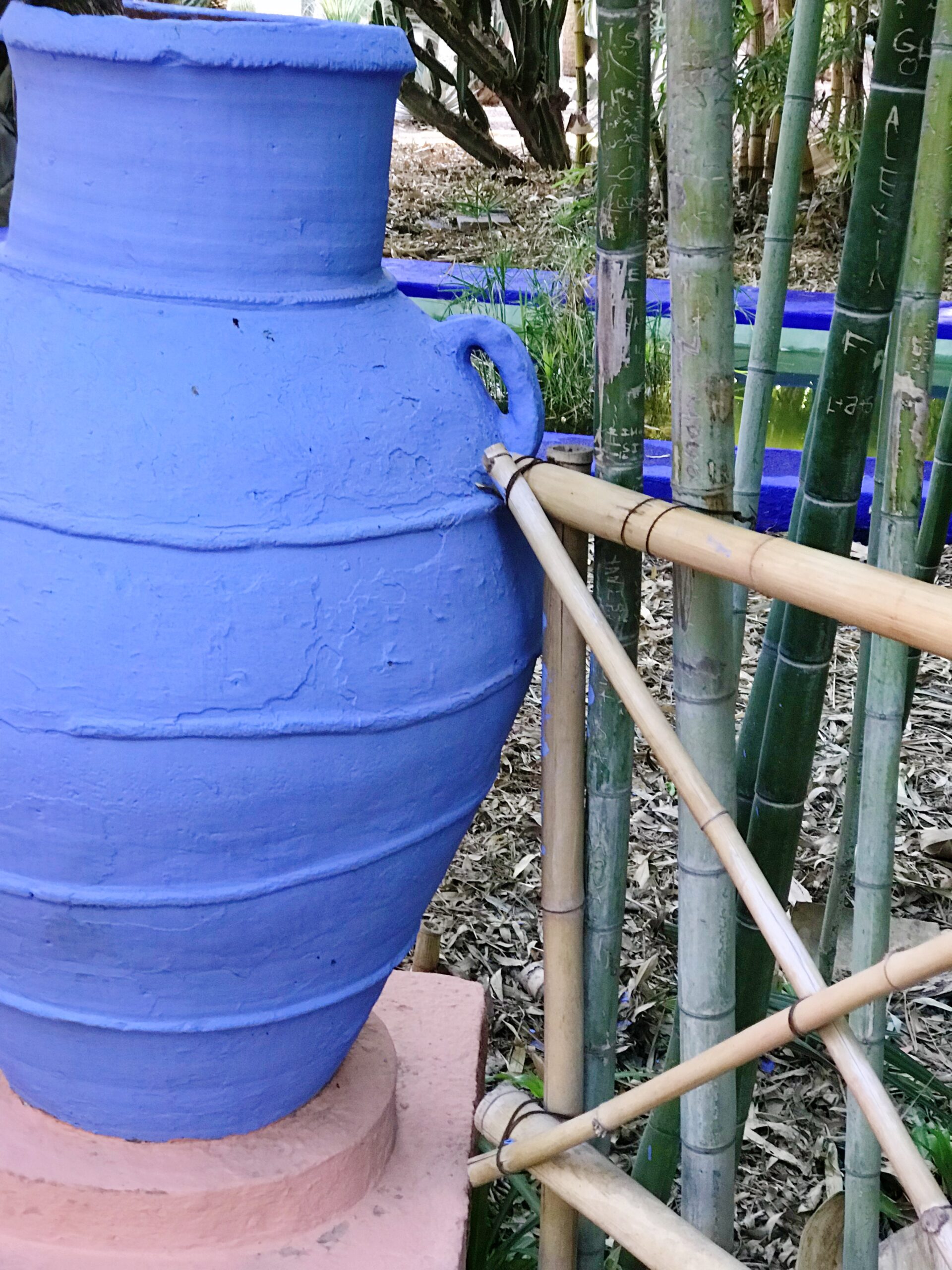 Blue Pot - Majorelle Garden