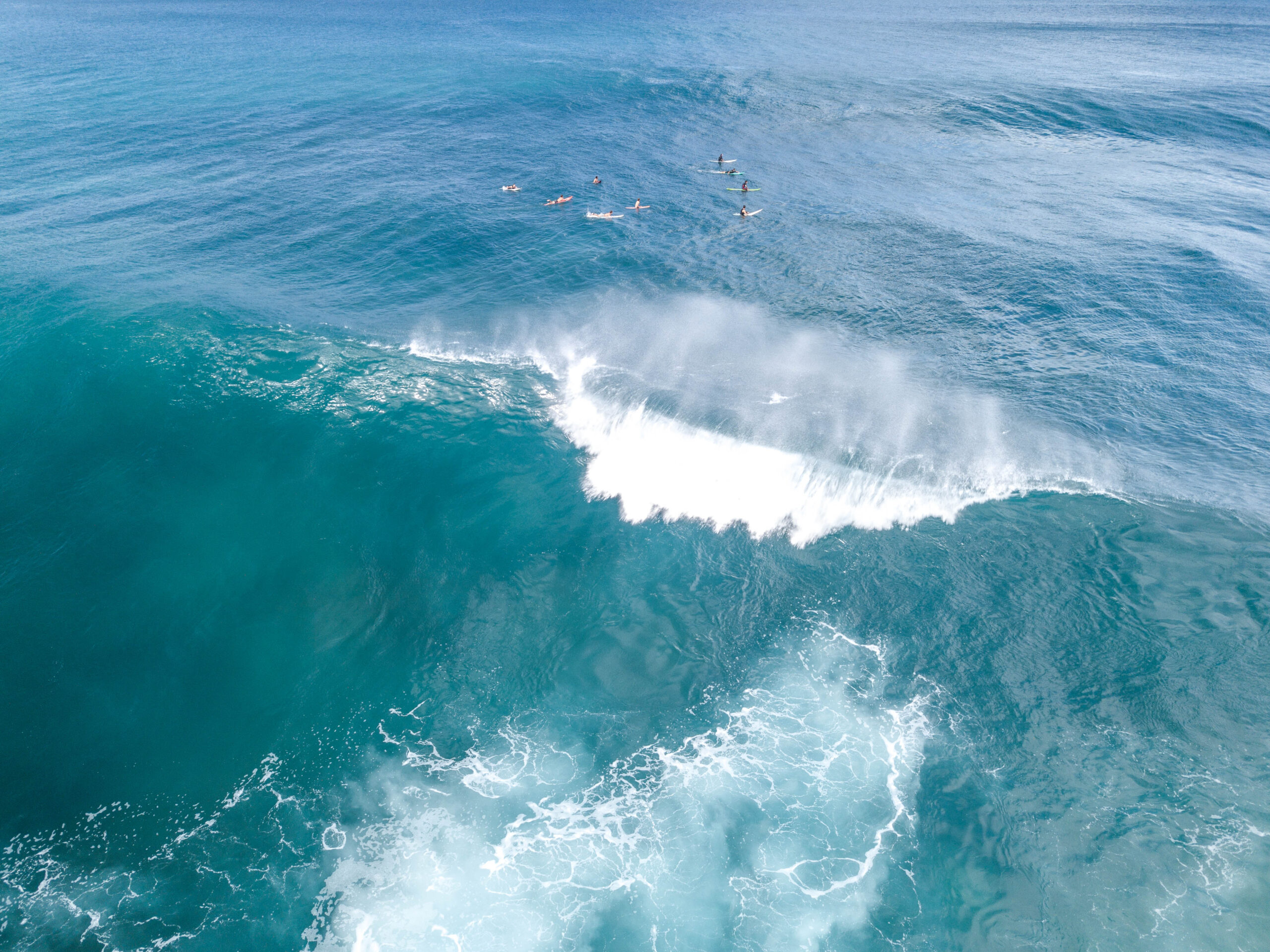Big wave surfing - Waimea Bay - North Shore Oahu