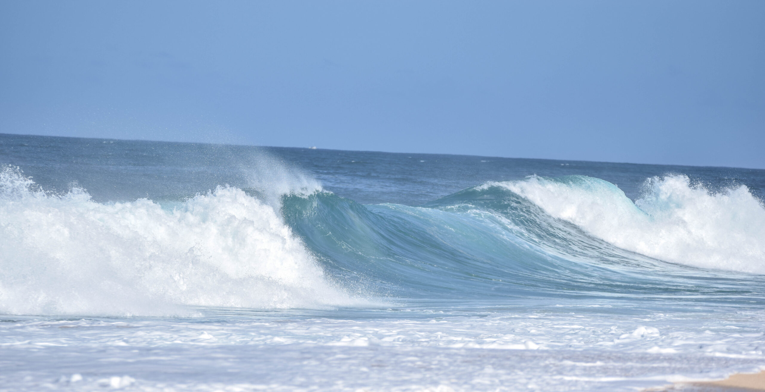 Big wave surfing - Banzai Pipeline - North Shore Oahu