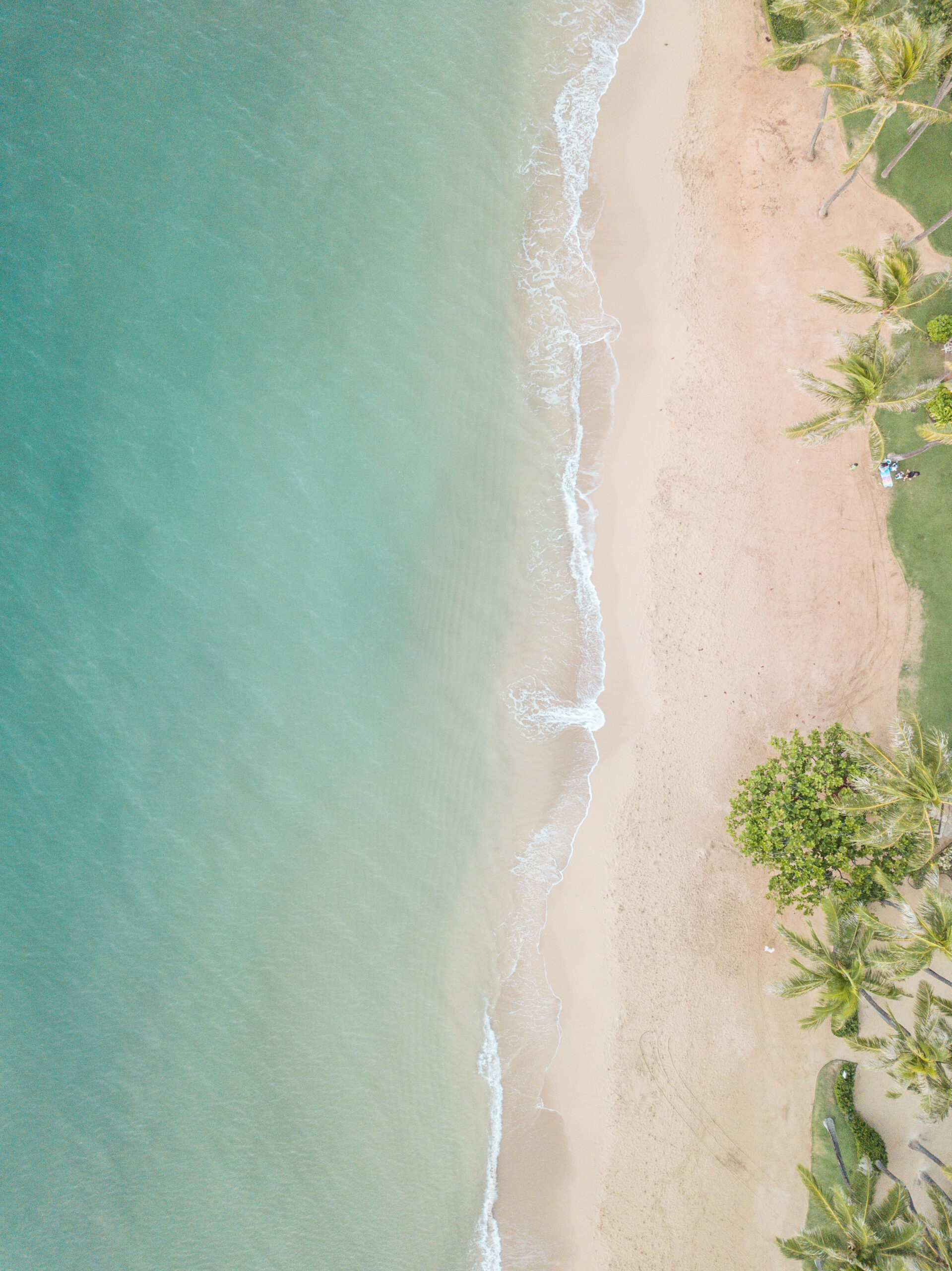 Hawaii Photos: The Kahala - In need of a tropical escape? Sharing a photo diary of the Kahala Resort and surrounding beaches on Oahu, Hawaii! | Kahala Hotel - Kahala Resort - Kahala Hawaii - Waialae-Kahala