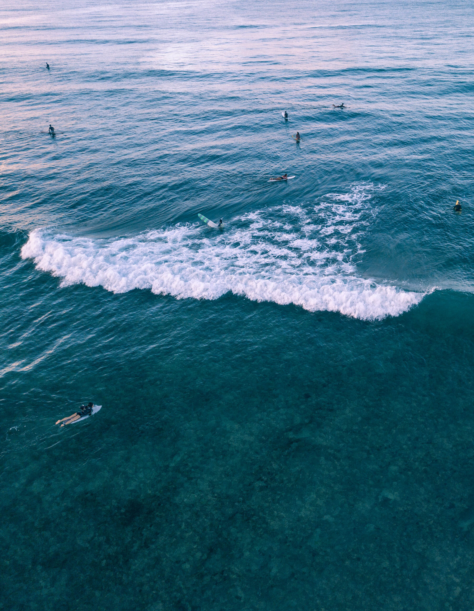 Hawaii sunrise surfers