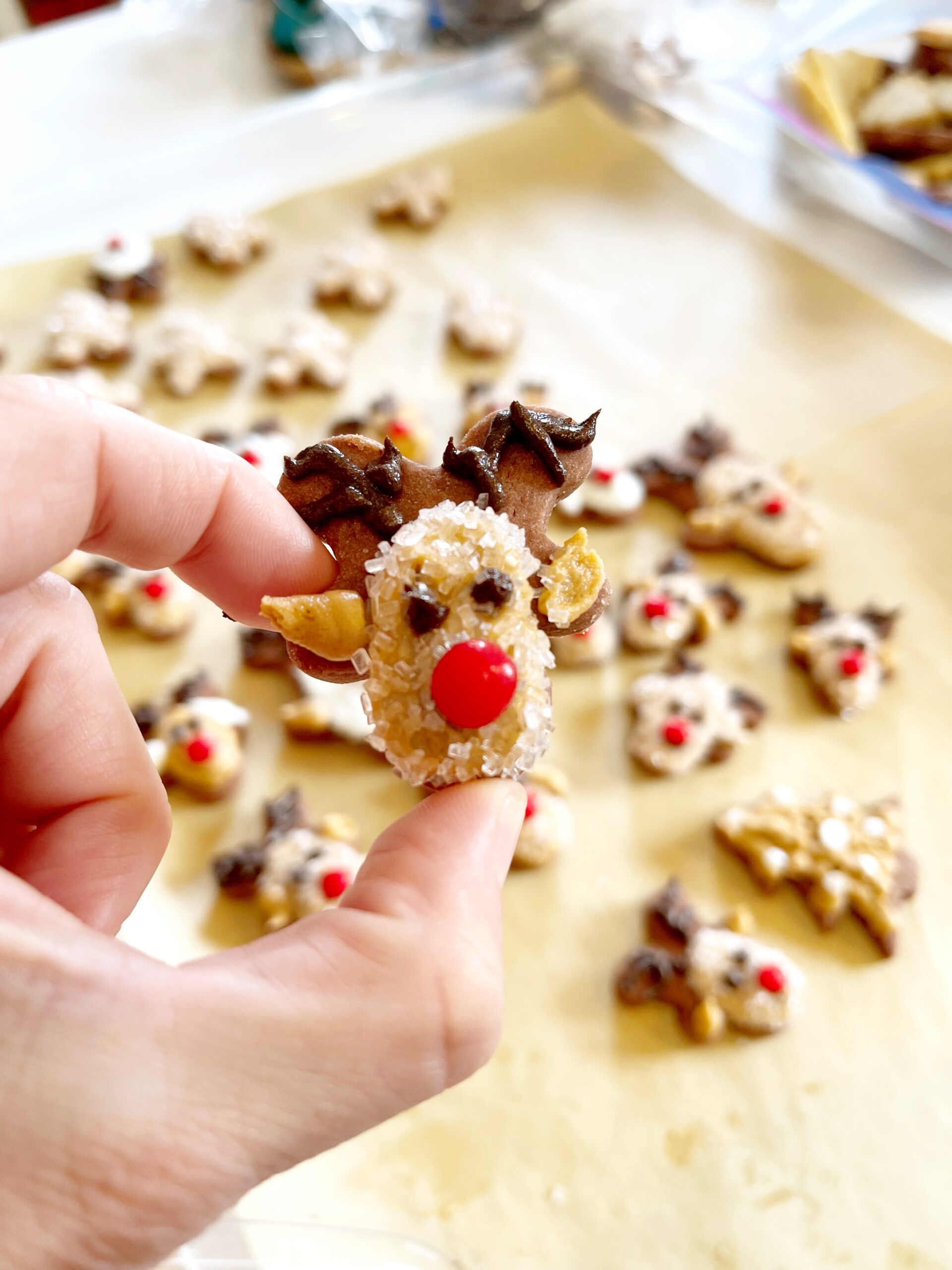 Reindeer cookies for Christmas