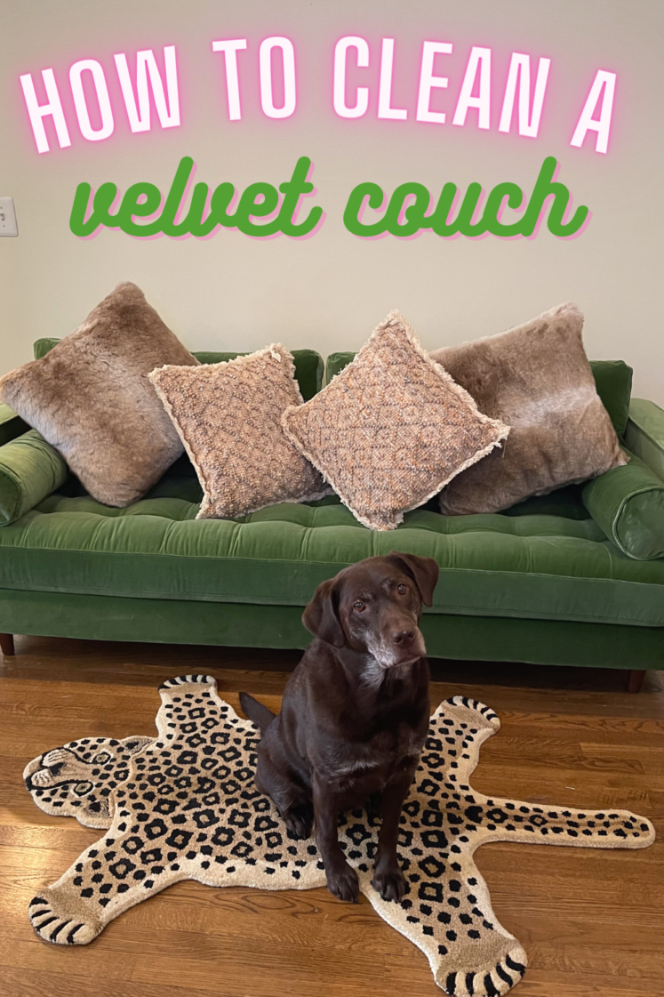 How To Clean A Velvet Couch - Are you the proud owner of a velvet sofa that needs a little TLC? I'm sharing the details on how to clean a velvet couch.