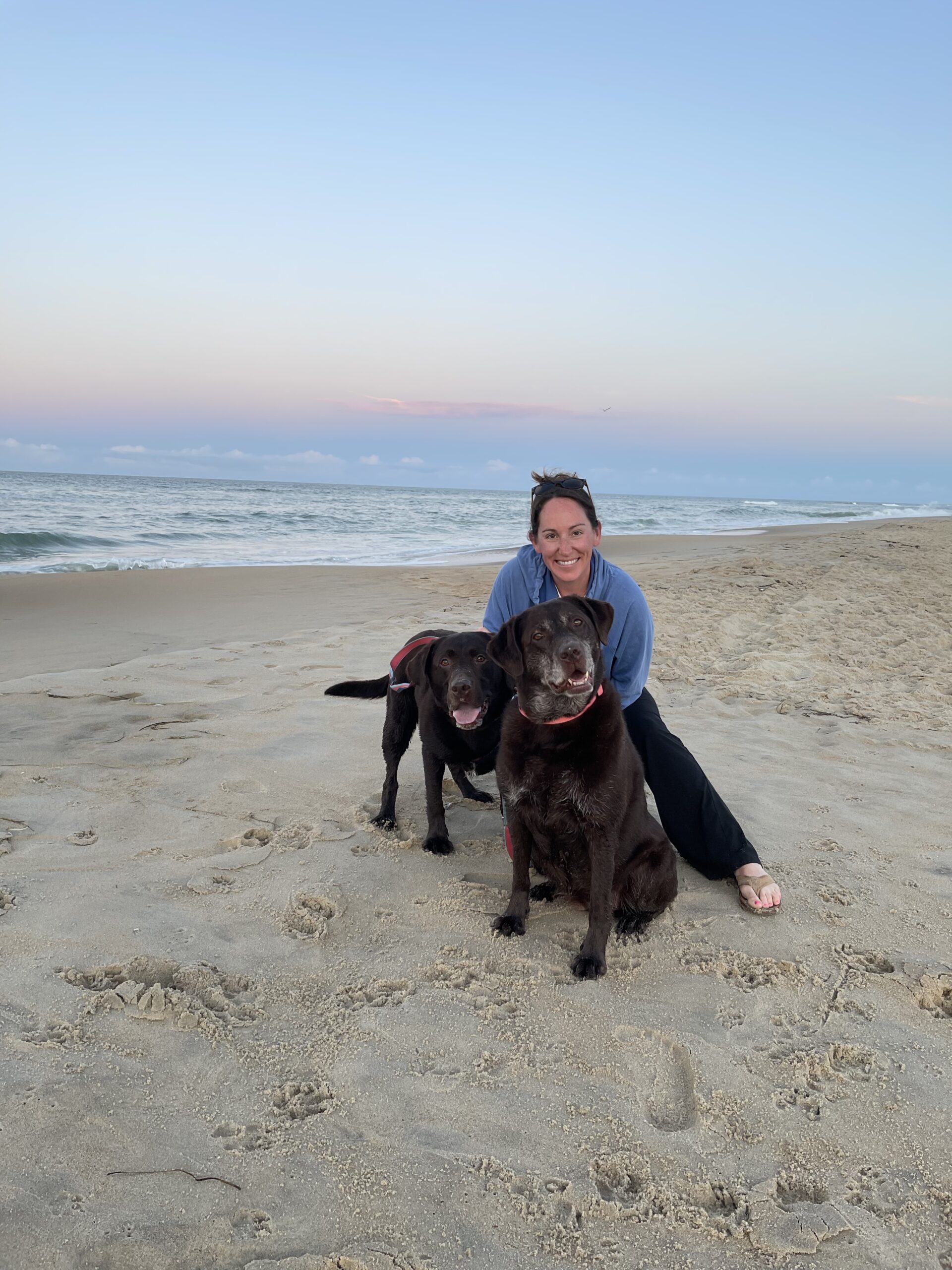 Dog friendly beach in Nags Head, NC