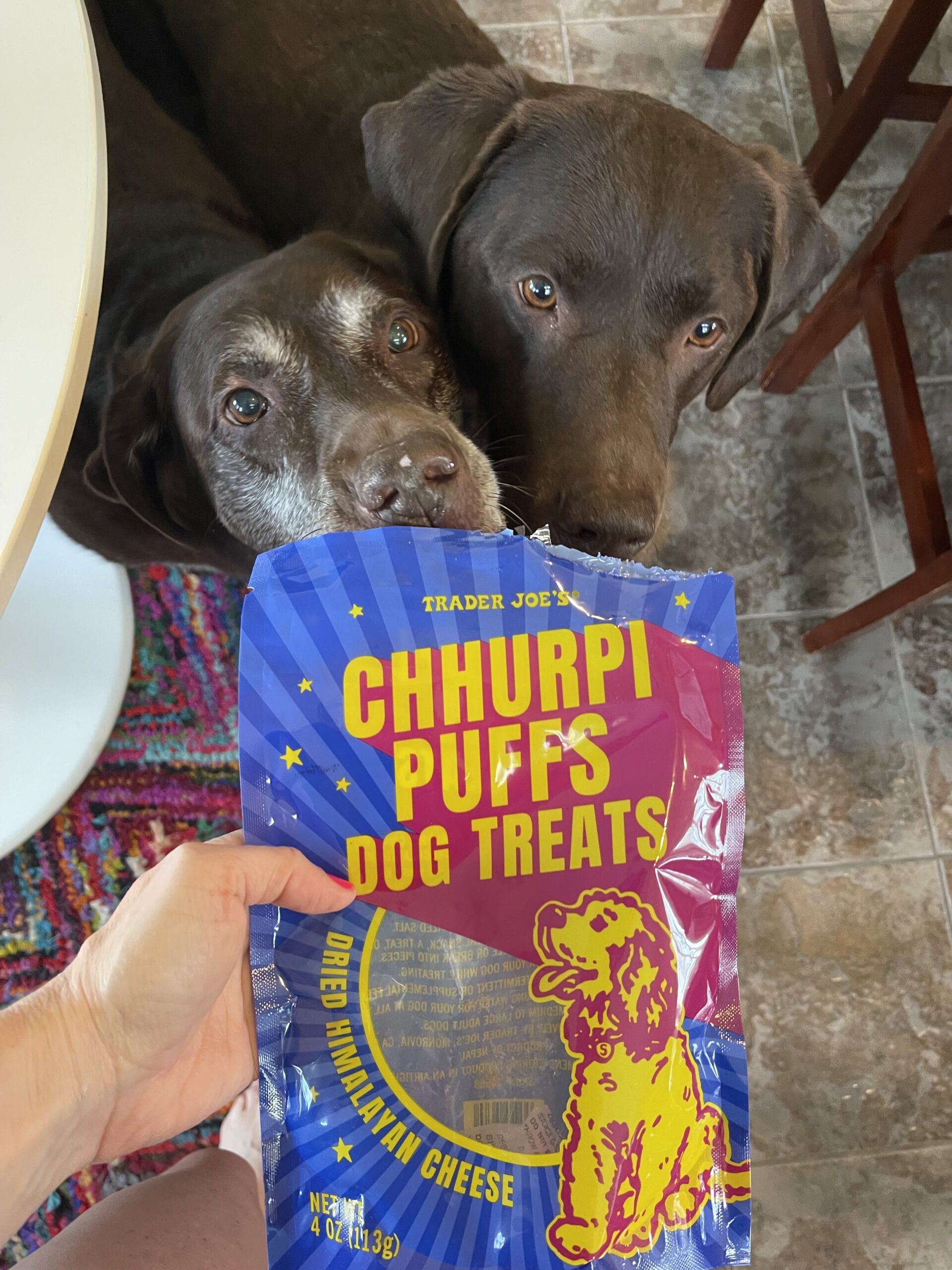Trader Joe's Chhurpi Puffs for Dogs