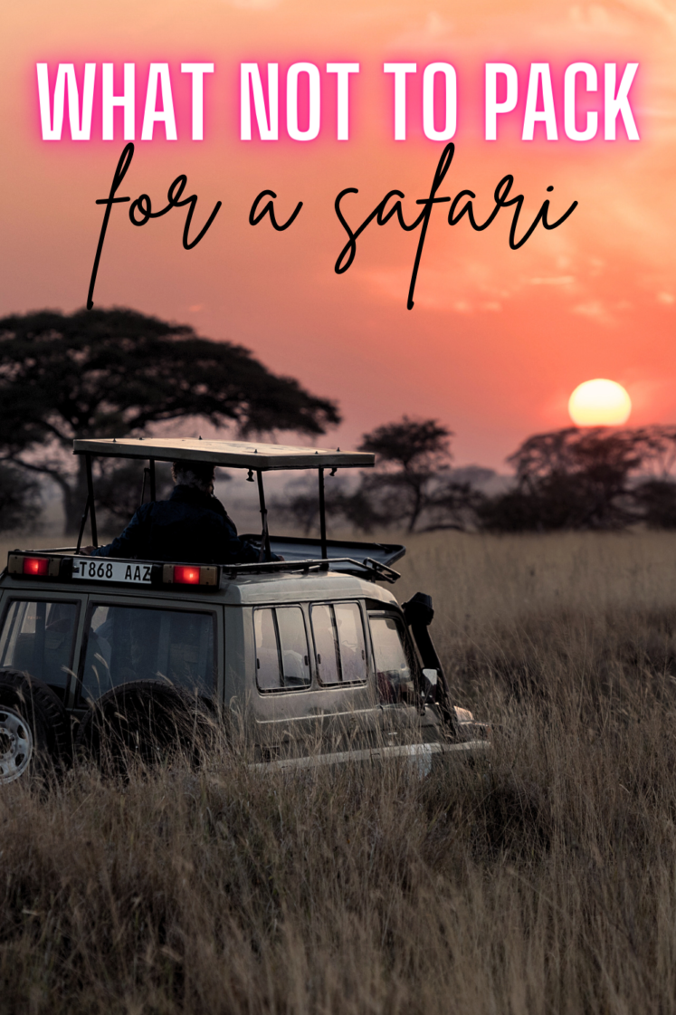 11 Things Not To Pack For A Safari