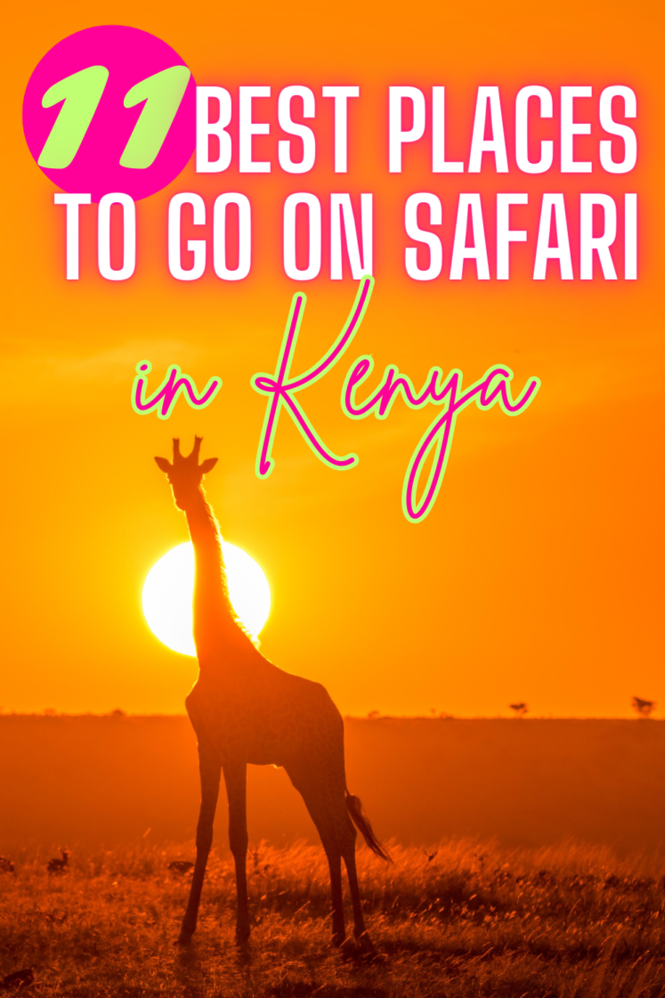 11 Best Places To Go On Safari In Kenya