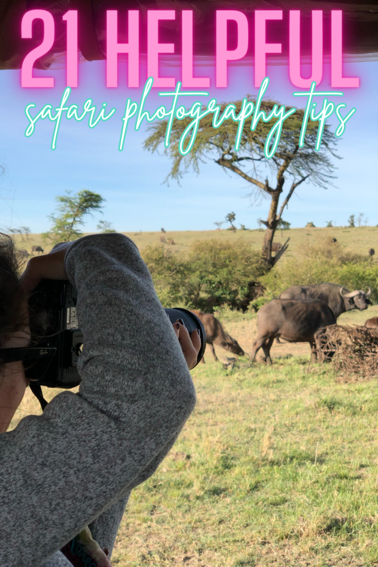 21 Safari Photography Tips For An Unforgettable Adventure