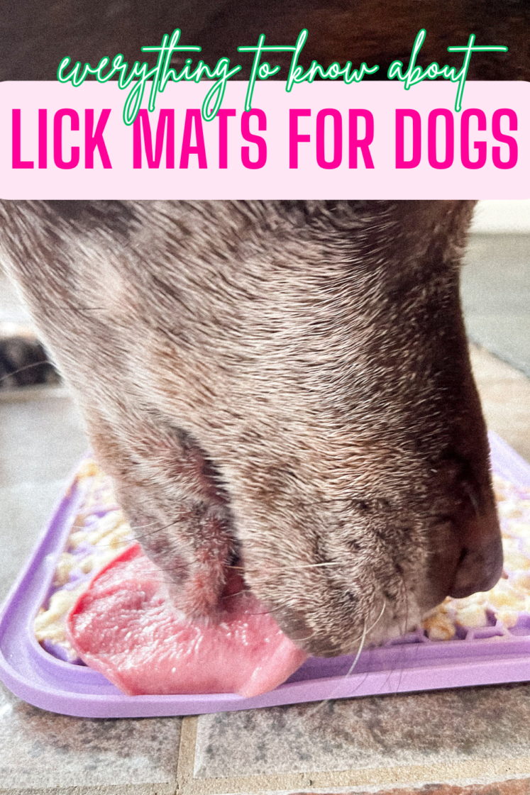 What To Know About Lick Mats For Dogs