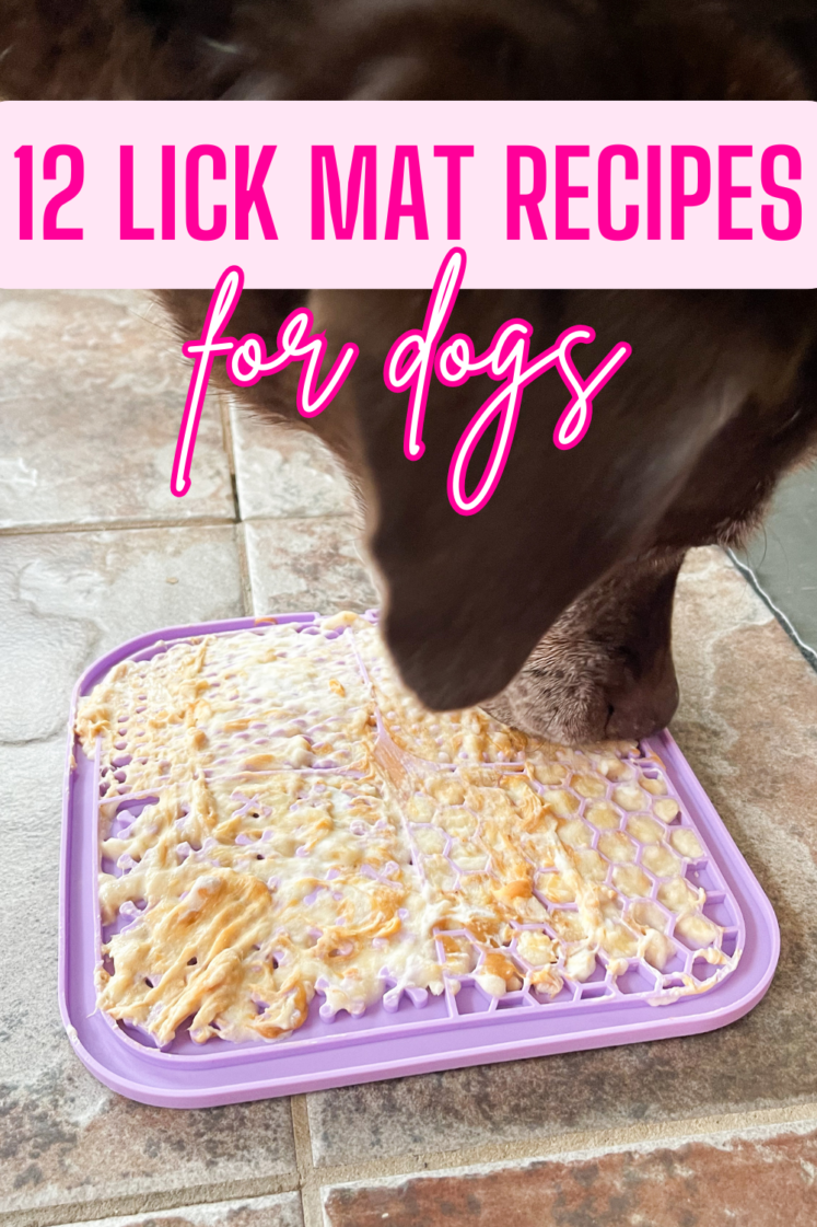 12 Lick Mat Recipes For Dogs